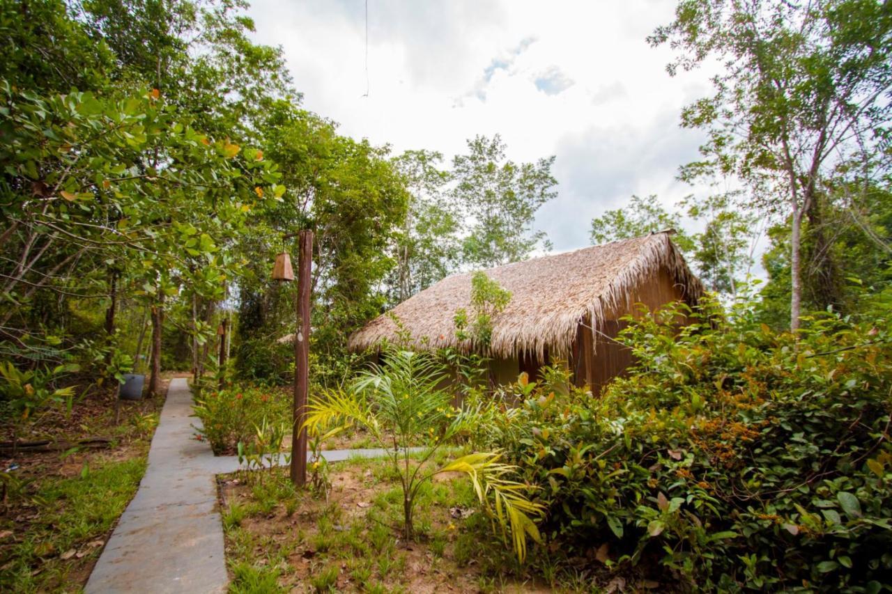 Amazon Turtle Lodge Careiro Ngoại thất bức ảnh