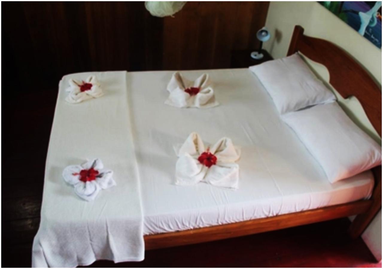 Amazon Turtle Lodge Careiro Ngoại thất bức ảnh