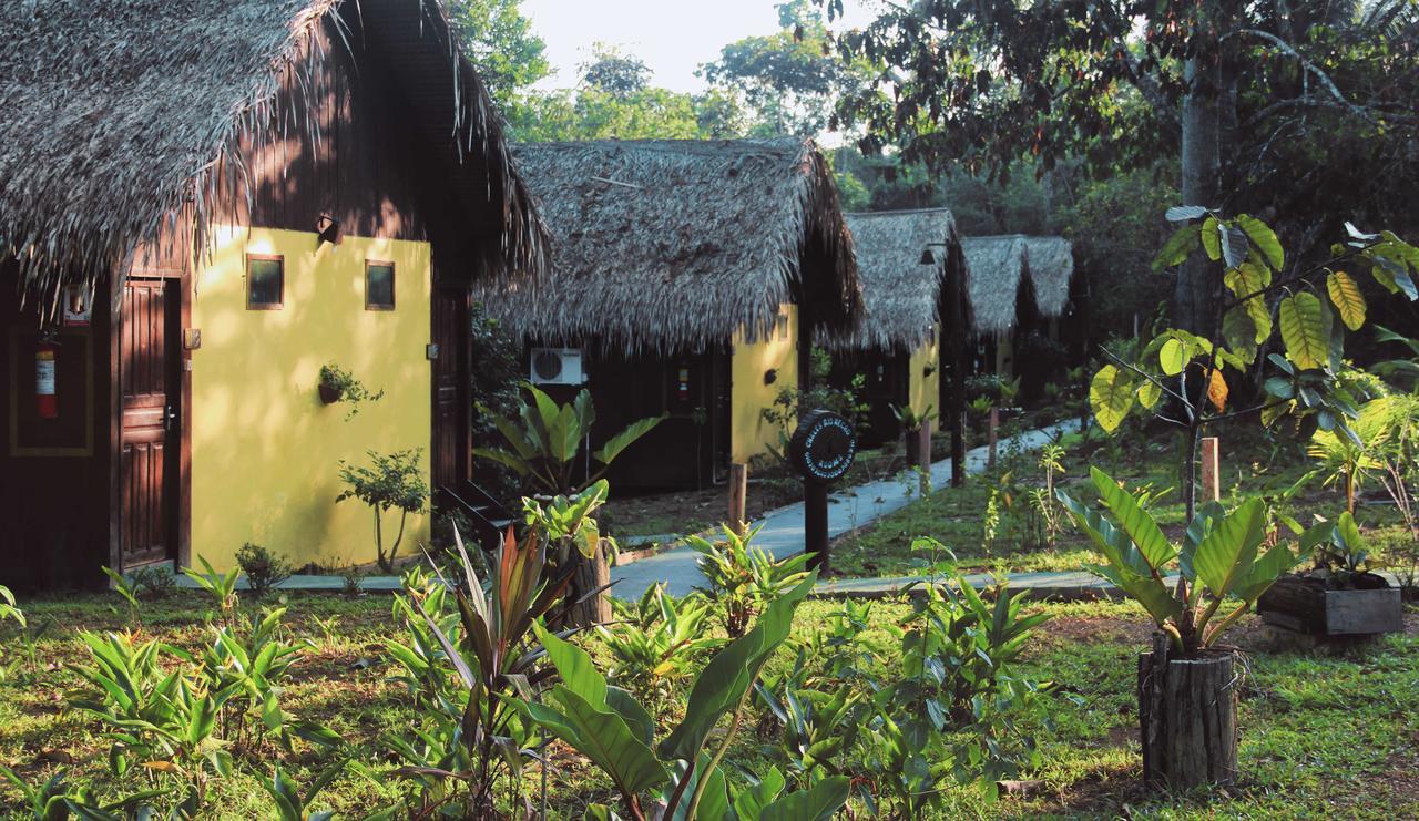 Amazon Turtle Lodge Careiro Ngoại thất bức ảnh